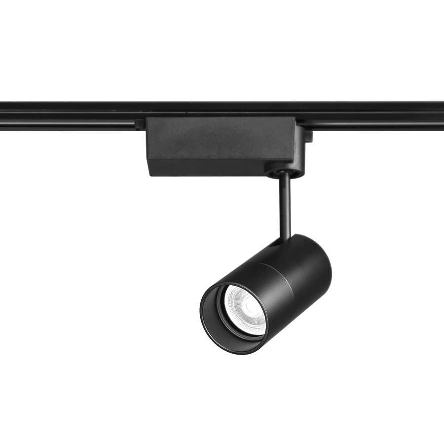 캔버스 MR 스포트