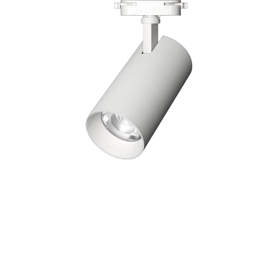 80파이 제니아 DC 스포트