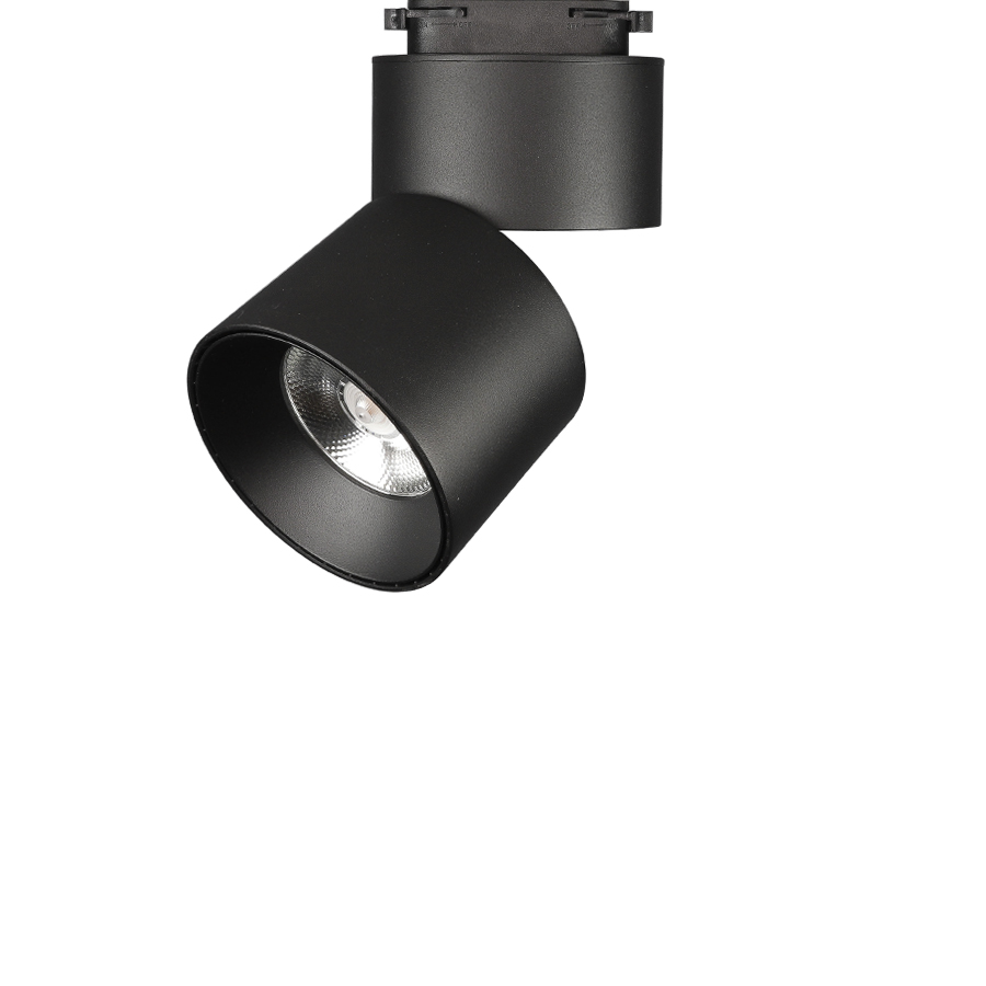 자이 리딩 스포트