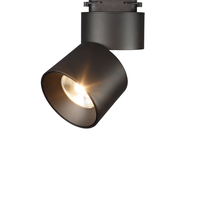 자이 리딩 스포트