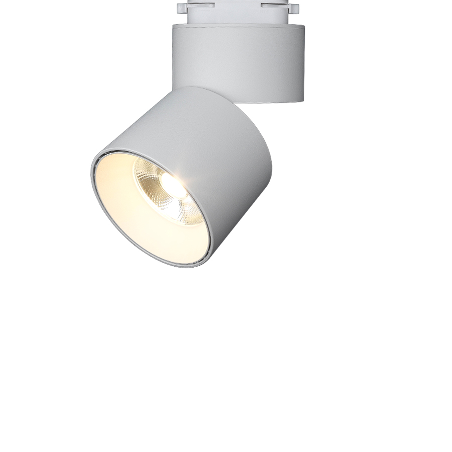 자이 리딩 스포트