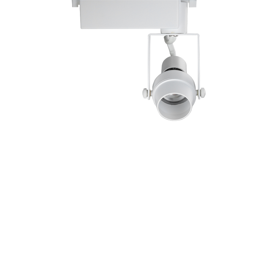 올리브 MR 스포트